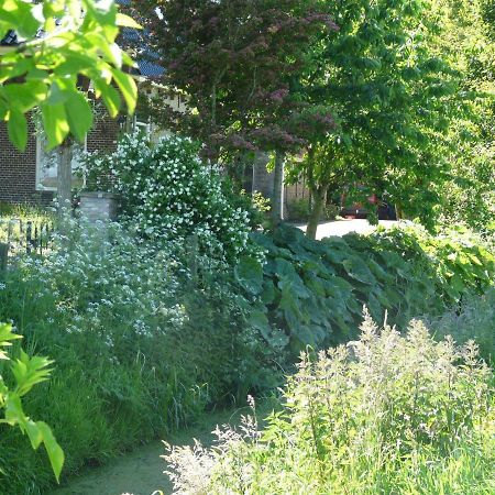 De Wylgepleats Bed & Breakfast Jutrijp Exterior foto