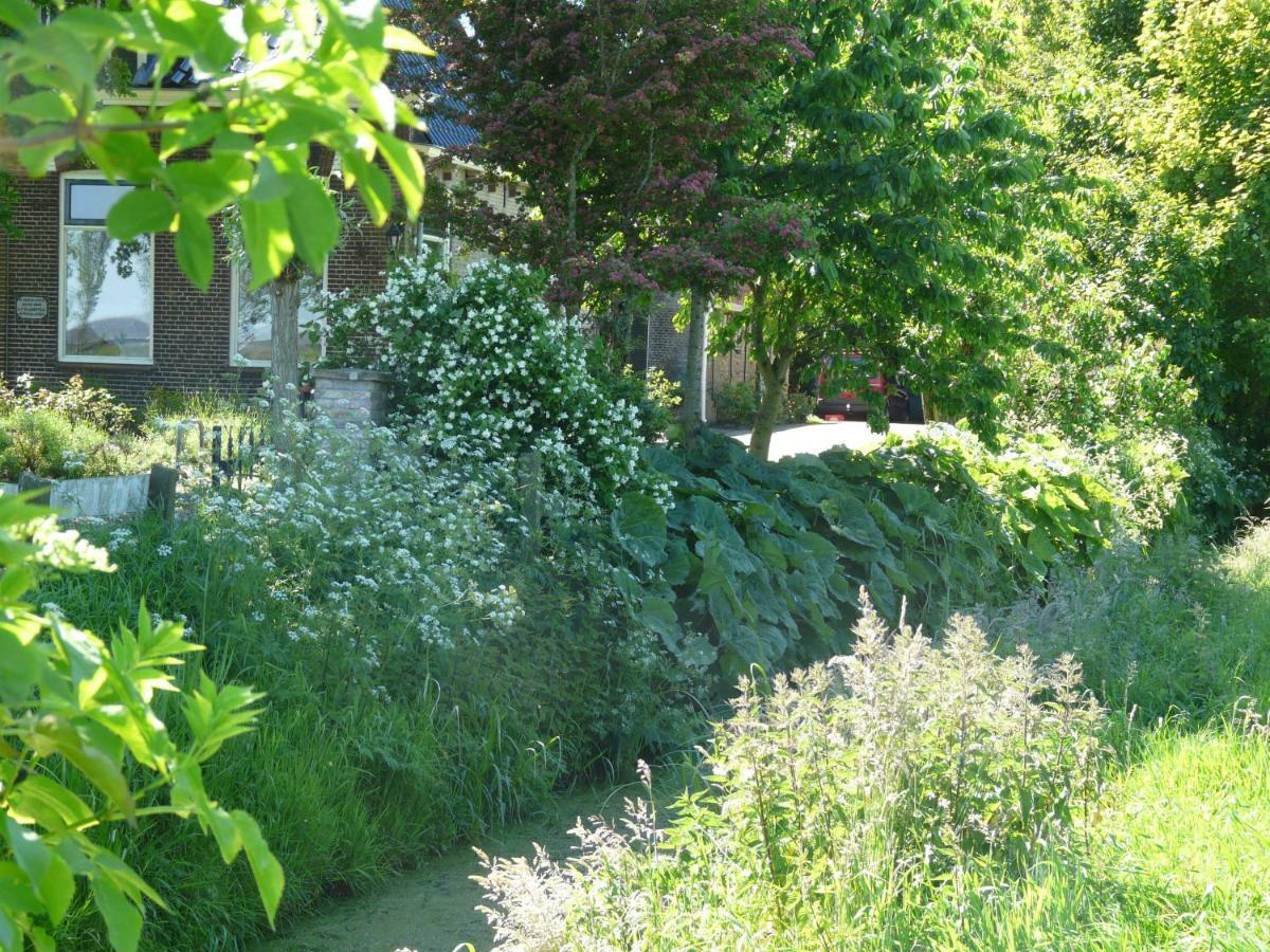 De Wylgepleats Bed & Breakfast Jutrijp Exterior foto